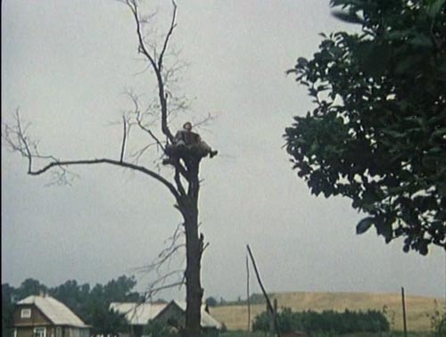 ����� ����