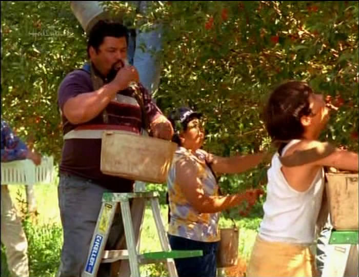 ���� ����������