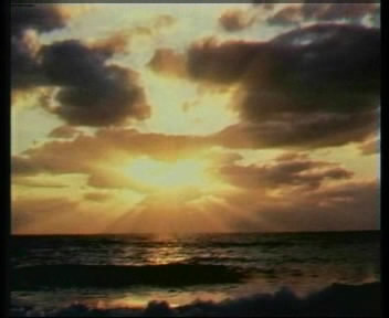 �������� ���