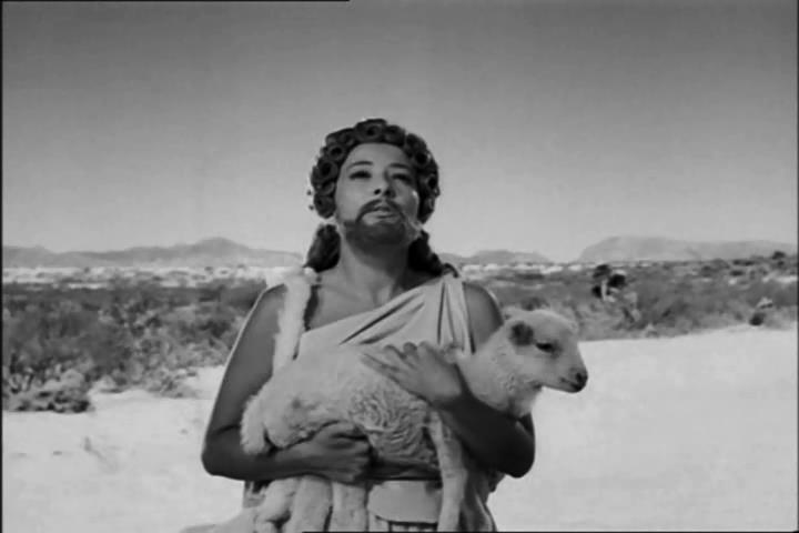 ������-���������