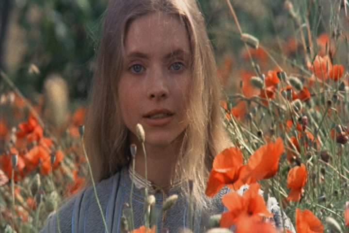 ������ ������, �������� ����