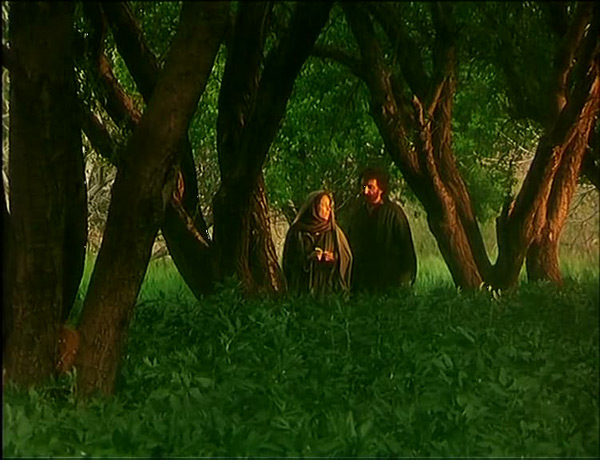 ���������� ��������: ������