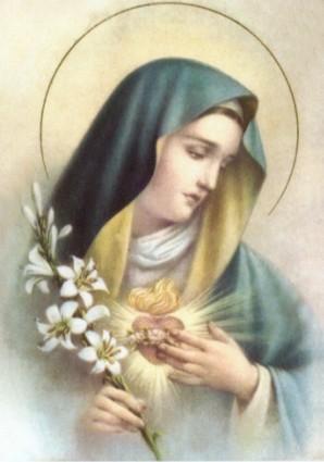 ������� ������������� ����� ���