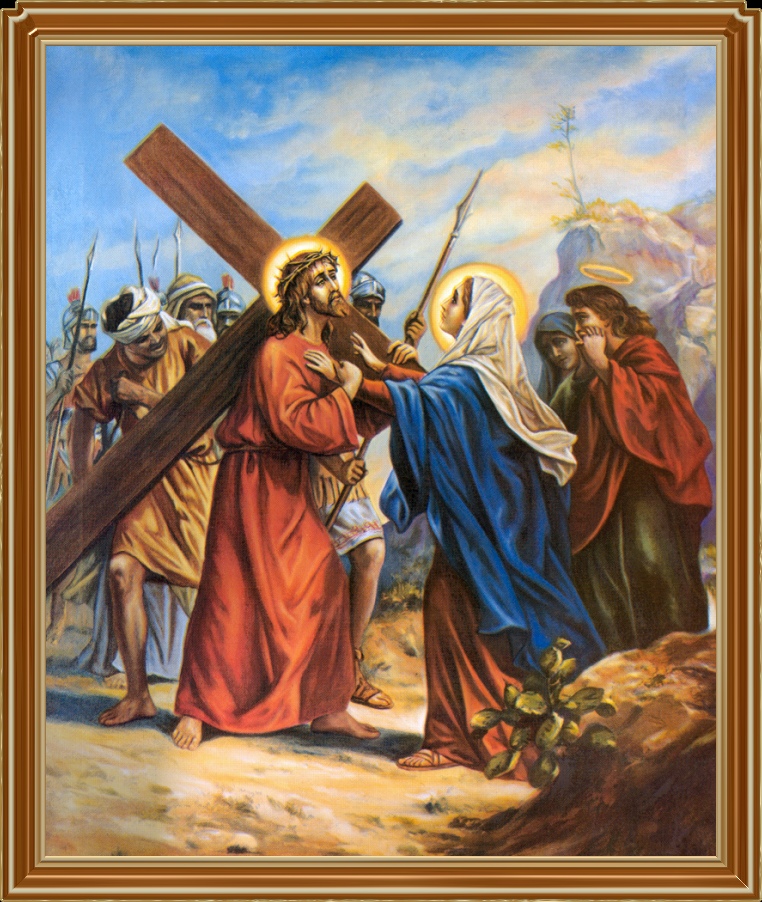 ������ ������