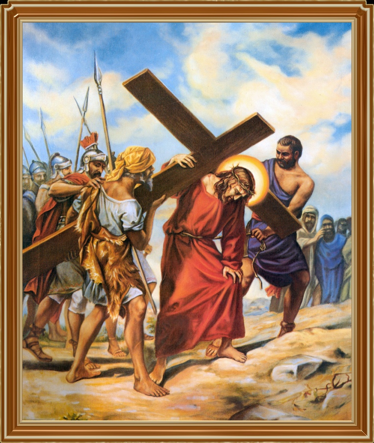 ������ ������